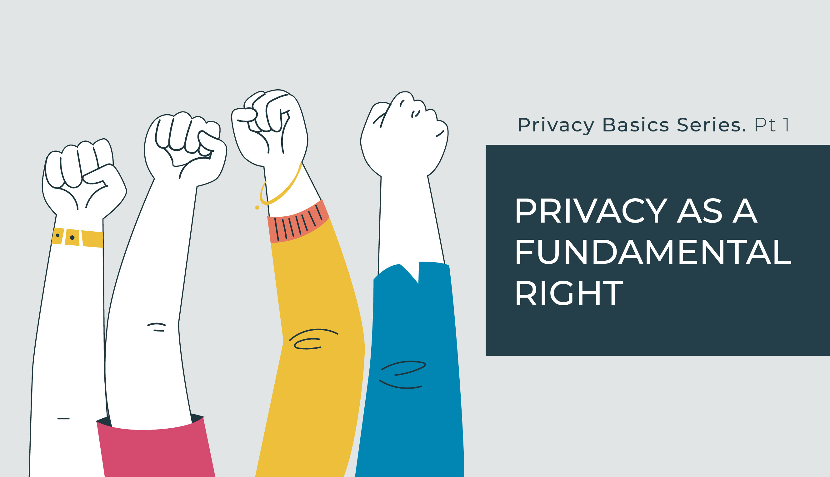 Privacy as a Fundamental Right 