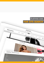Business Case for Search